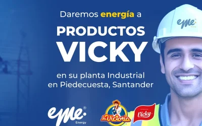 ¡Nuevo Proyecto! Productos Vicky