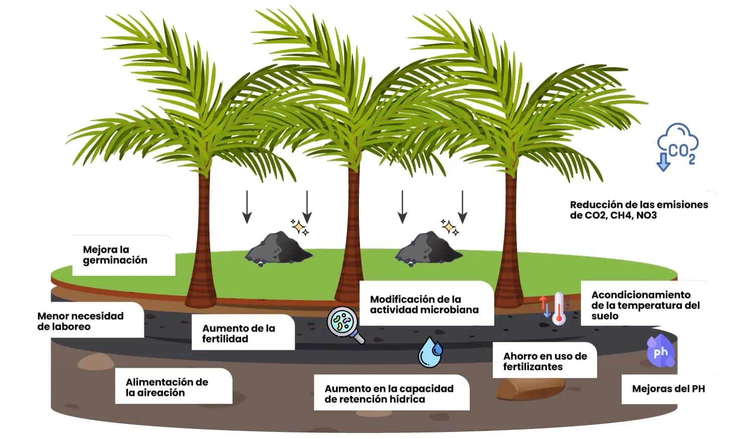 imagen3biochar